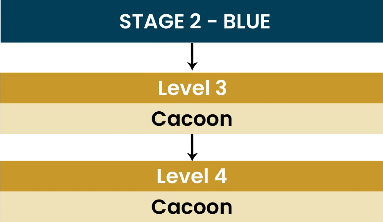 flow-chart-cs2